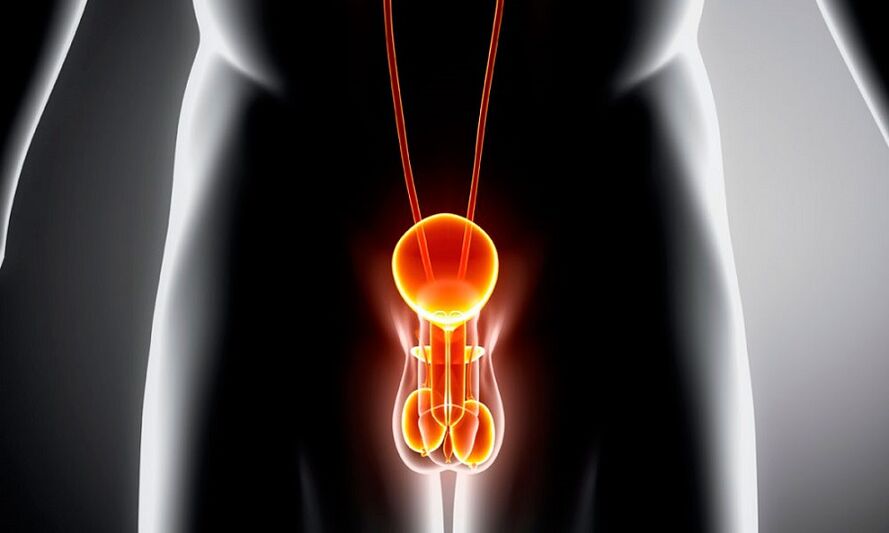 vneto genitourinarni sistem za prostatitis